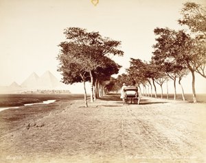 Kairo, Allee De Pyramides 98 tekijältä Félix Bonfils