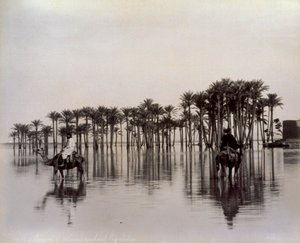Miehet kamelien selässä ylittäessään Egyptin Niilin tulviman aavikon alueen Egyptissä tekijältä Félix Bonfils