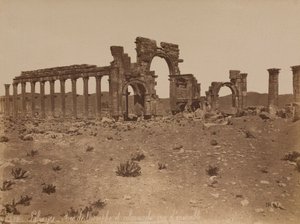 Palmyra: yleisnäkymä riemukaaresta ja pylväskäytävästä tekijältä Félix Bonfils