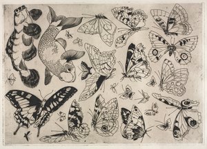Illallispalvelu Rousseau-palvelu: Perhoset ja kalat no. 16, 1866. tekijältä Felix Bracquemond