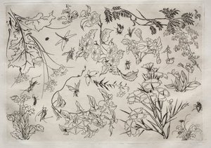 Illallispalvelu Rousseau-palvelu: Kukat no. 22, 1866.