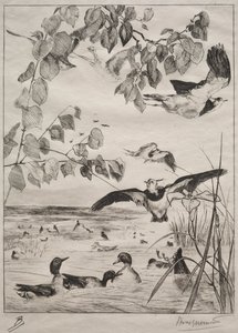 Lapwings ja Teals tekijältä Felix Bracquemond