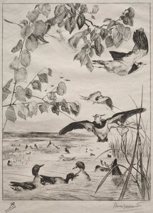 Lapwings and Teals, 1862. tekijältä Felix Bracquemond