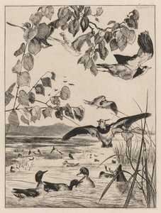 Lapwings and Teals, 1862. tekijältä Felix Bracquemond