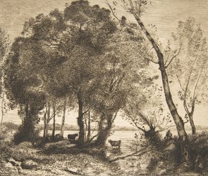 Järvi, 1861. tekijältä Felix Bracquemond