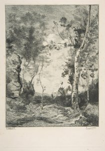 Valkoinen hevonen, 1858. tekijältä Felix Bracquemond