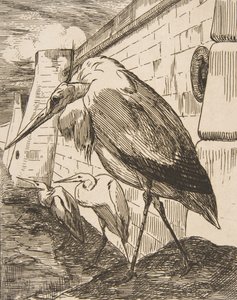 Haikarat, 1870-luvut, 1870-luvut. tekijältä Felix Bracquemond