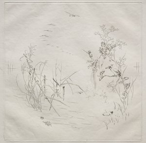 Pariisilainen palvelu (Haviland-palvelu): Rauhallinen (nro 3) tekijältä Felix Bracquemond