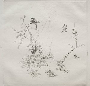 Pariisin palvelu (Haviland-palvelu): Snow (nro 6) tekijältä Felix Bracquemond