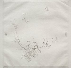 Parisian Service (Haviland-palvelu): Kuu (nro 5) tekijältä Felix Bracquemond