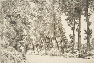 Rue des Bruyères, Sèvres, 1868. tekijältä Felix Bracquemond