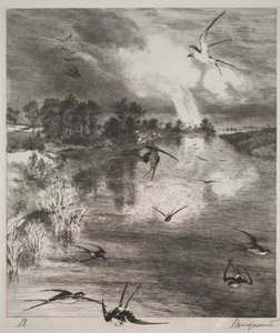 Pääskyset tekijältä Felix Bracquemond