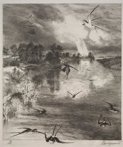 Pääskyset, 1882. tekijältä Felix Bracquemond