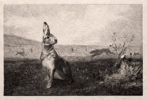 Jänis (A. de Balleroyn mukaan) tekijältä Felix Bracquemond