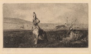Jänis Le Hare, 1865.