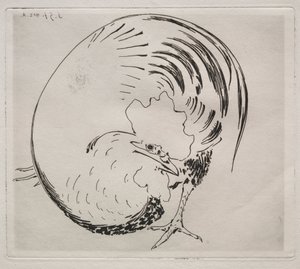 Huippupalvelu: Rooster tekijältä Felix Bracquemond