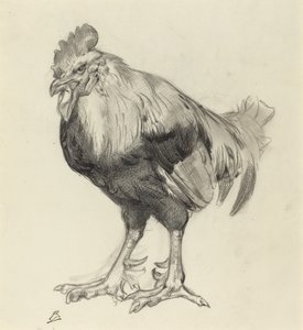 Vanha kukko