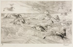 Lokit, c. 1880. tekijältä Felix Bracquemond