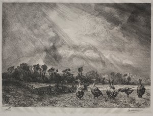 Myrskypilvi, 1878-1887. tekijältä Felix Bracquemond