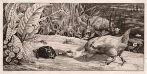 Tuntematon, 1862.