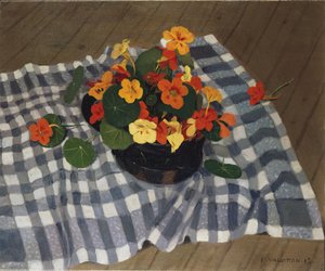 Nasturtioiden kulho tekijältä Felix Edouard Vallotton