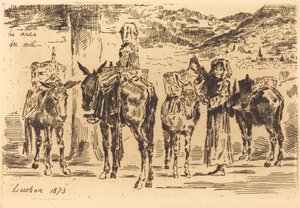 Aasinarkkia etelästä, 1873. tekijältä Felix Hilaire Buhot