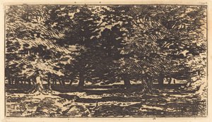 Metsä. tekijältä Felix Hilaire Buhot
