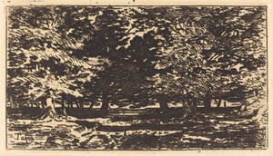 Metsä tekijältä Felix Hilaire Buhot