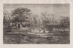 Hanhet, 1860-98. tekijältä Felix Hilaire Buhot