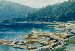 Šumava (salkusta "16 näkymää tšekkiläisistä maisemista "Česka Krajiná")