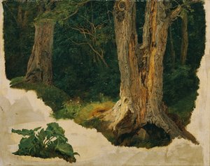 puun tutkimus tekijältä Ferdinand Georg Waldmuller