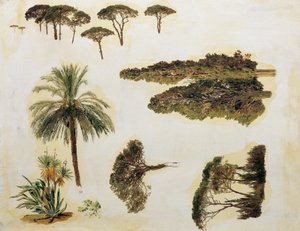 Puututkimukset Roomasta tekijältä Ferdinand Georg Waldmuller