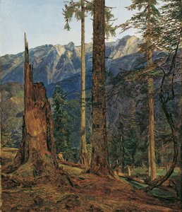 finnish tekijältä Ferdinand Georg Waldmuller