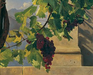 rypäleterttu tekijältä Ferdinand Georg Waldmuller