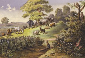 heinäkuu (värillinen litografia)