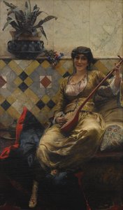 Serenade Haaremissa