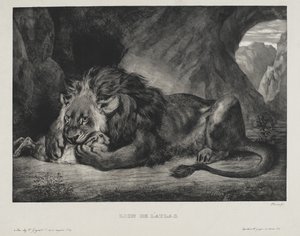 Leijona Atlasista, 1829 tekijältä Ferdinand Victor Eugene Delacroix