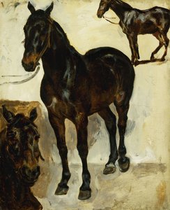 Kolme hevostutkimusta; Kolme tutkimusta hevosista, n. 1823 tekijältä Ferdinand Victor Eugene Delacroix