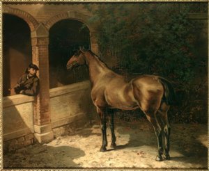 Pferd und Raucher