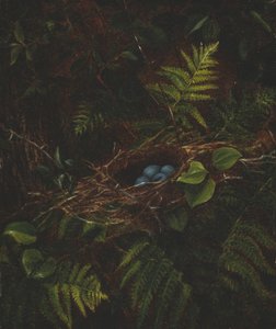 Linnunpesä ja saniaiset, 1863.