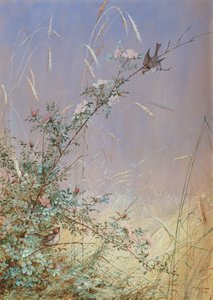 Villiruusuja rukiin seassa, 1874 (wc ja guassi kynällä paperilla)