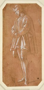 Tutkimus nuoresta miehestä, joka seisoo kädet ristissä hihoissaan (metallipiste paperille valmistettu vaaleanpunainen, korotettu valkoisella vartalonvärillä) tekijältä Filippino Lippi