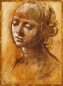 Naishahmo, Filippino Lipin (1457-n. 1504), piirustus tekijältä Filippino Lippi