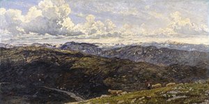 pré-alpes finlandês bergamasco