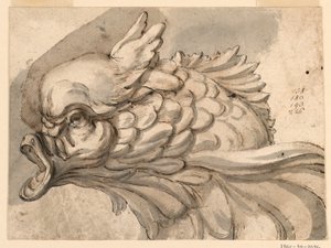 Piirros, delfiinin pää, n. 1775. tekijältä Filippo Marchionni