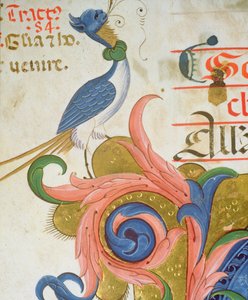 Missal 515 f.28v Fantastinen lintu, jolla on ihmisen pää, seisoo historiallisen alkukirjaimen kulmassa, yksityiskohta kuorokirjasta, joka on toteutettu ennen vuotta 1449, pergamentti, yksityiskohta 56724 tekijältä Filippo di Matteo Torelli