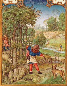 Fol.11v Marraskuu: tammenterhojen korjuu sikoja varten ja metsästys, Breviarium Grimanista, n. 1515 tekijältä Flemish School