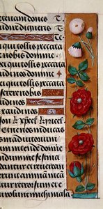 Ms. 1058-1975, f.120r: yksityiskohta kukkareunuksesta Tuntikirjasta, n. 1500 (vellum) tekijältä Flemish School