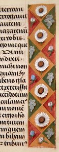 Ms. 1058-1975, f.16r: yksityiskohta kukkareunuksesta Tuntikirjasta, n. 1500 (vellum) tekijältä Flemish School