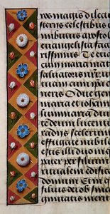 Ms. 1058-1975, f.16r: yksityiskohta kukkareunuksesta Tuntikirjasta, n. 1500 (vellum) tekijältä Flemish School